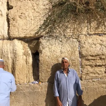 יעקב, 73תל אביב 