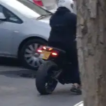 תמונה Avi 1 